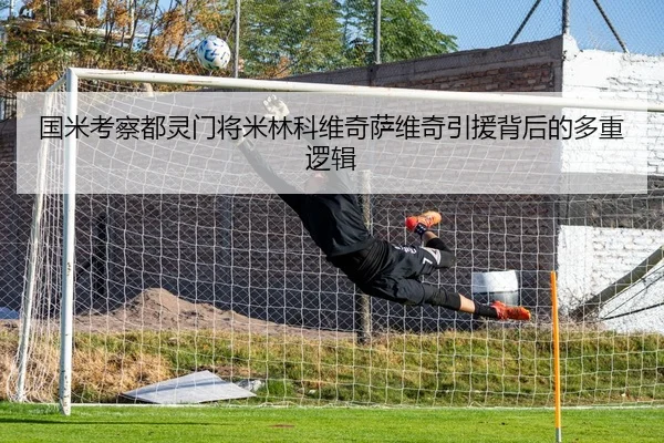 国米考察都灵门将米林科维奇萨维奇引援背后的多重逻辑