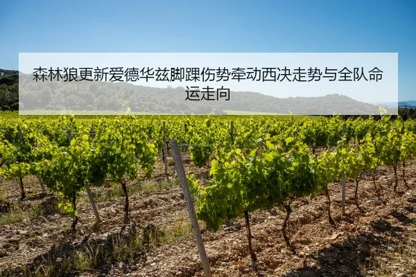 森林狼更新爱德华兹脚踝伤势牵动西决走势与全队命运走向